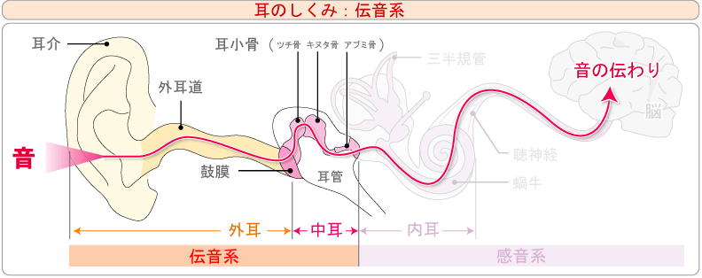 耳 から 音 が する